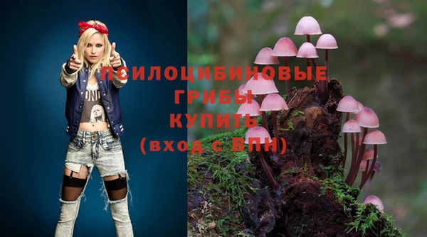 apvp Бугульма