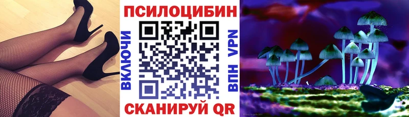 Псилоцибиновые грибы Cubensis Наро-Фоминск