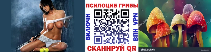 Купить закладки  Наро-Фоминск  Псилоцибиновые грибы Psilocybe 